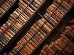 3 rows of books on shelves 
